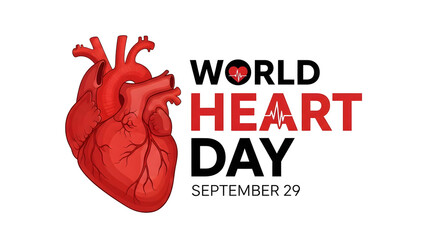 Celebrate World Heart Day with a vibrant anatomical heart graphic, promoting health awareness and cardiac care with essential medical imagery