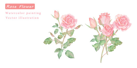 水彩で描いたバラの素材ベクターイラスト	