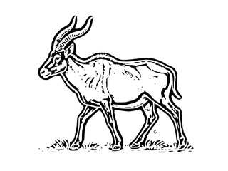 Deer and Goat Silhouette Vector Illustration on White Background