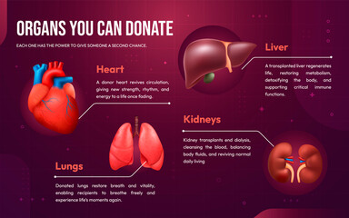 Realistic Comprehensive Infographics Guide to the Human Body and Organs