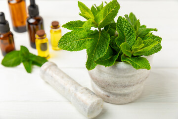 Fresh mint with mortar and pestle on wooden background. Melissa leaves. Healing herbs green mint...