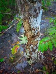 "The beauty of the seasons, nature."