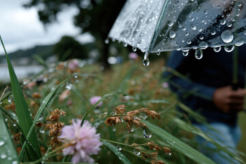 Raindrops cling to a transparent umbrella as it stands over colorful wildflowers, capturing the serenity of a rainy day, evoking a sense of tranquility and connection to nature.