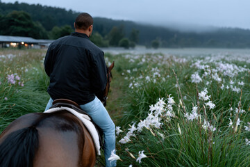 A lone man rides a horse through a field filled with tall flowers, embodying freedom and exploration, set against a misty backdrop that enhances the mood of tranquility.