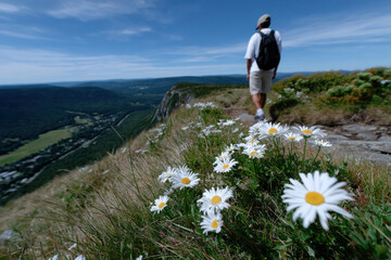 A serene landscape of a hiker walking on a mountain trail, adorned with blooming daisies, symbolizing the peace and beauty of nature during a rewarding outdoor adventure.