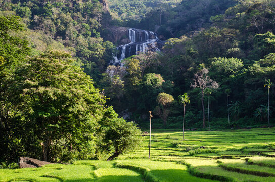 Rathna Ella ("field of gems"), at 111 meters, is the 14th highest waterfall in Sri Lanka, situated in Hasalaka, Kandy District.