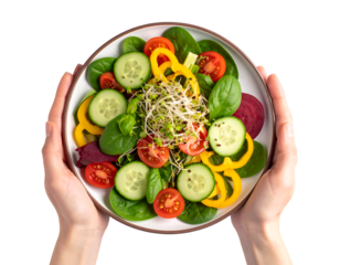 Hands Holding a Fresh and Colorful Vegetable Salad, Top View isolated on white background 