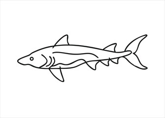 Artistic continuous line drawing of a sturgeon fish rendered in a minimalist single stroke style isolated on white background