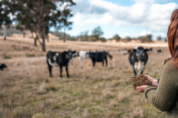 farmer holding soil in hands, monitoring plant health, regenerative organic farming, and field while also studying soil samples and plant growth in a farm. practicing sustainable agriculture
