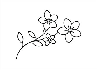 A delicate floral branch featuring three blooming flowers with elegant leaves in a decorative arrangement isolated on white background