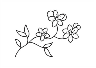 A delicate decorative floral branch featuring three blooming flowers in a graceful arrangement isolated on white background