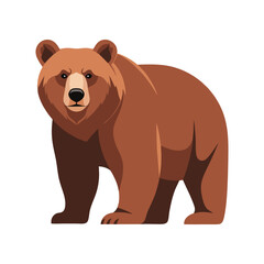 brown bear vector illustration