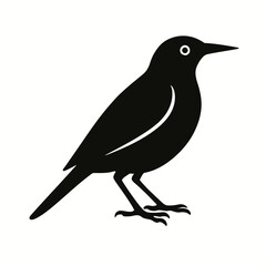 Obraz premium very simple flat and single minimalist Eastern Meadowlark Silhouettes in black on a white background