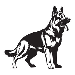 Fototapeta premium Black and white vector illustration of a cute Border Collie dog isolated on white background