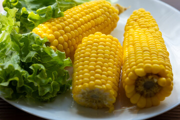 Close-up of boiled corn on a white plate