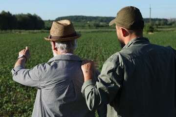 Farmers in field of unripe soy outdoors, back view