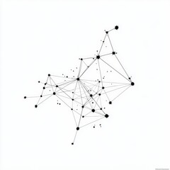 Abstract network graphic with interconnected nodes and lines.  Black dots connected by thin black lines on a white background.  Complex,  organic,  and slightly asymmetrical web-like structure
