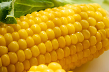 Close-up of boiled corn on a white plate