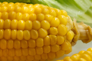 Close-up of boiled corn on a white plate