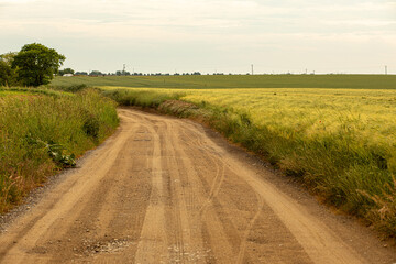 Straight country road and green farmland