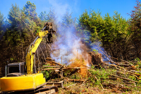 An excavator works to clear fallen trees brush as smoke billows from debris on deforester day in forest.