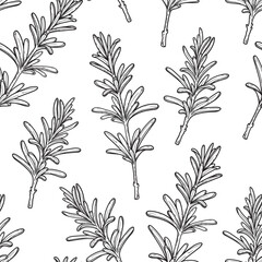 Rosemary sketch. Seamless pattern.Hand drawn vector illustration. Apothecary plant drawing. Medicinal plant, herbal remedies. Natural rosemary. Kitchen spice.