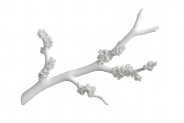 3d rendering of a white blooming branch isolated on transparent background, perfect for spring and easter projects