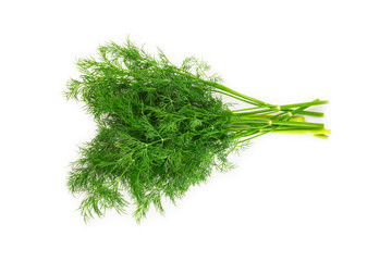 Dill isolated on white background. Fresh organic greens. Dill plantation. Dill leaves. Bunch of spring young dill. Vitamins. Fiber. Aromatic culinary spice.