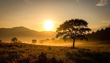 Golden Sunrise Over Misty Meadow And Mountain