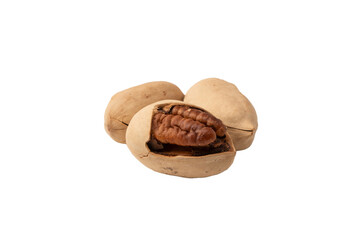 Pecan-nut in a shell isolated on white background. Top view.