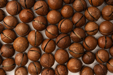 Macadamia nuts in a shell isolated on a white background.