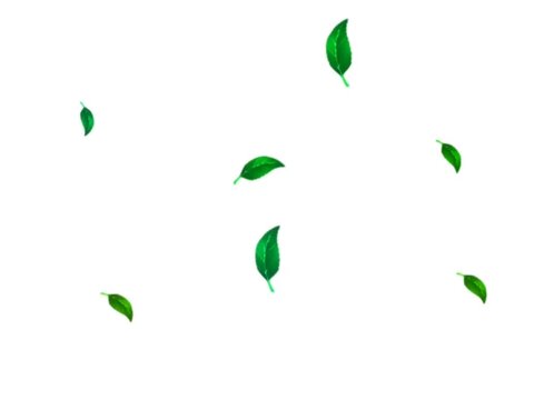 green leaves falling from tree ilustration
