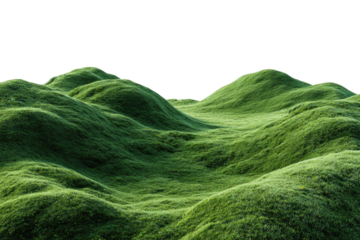 Lush green, rolling hills.  A grassy landscape