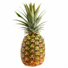 Single pineapple, ripe, against white background