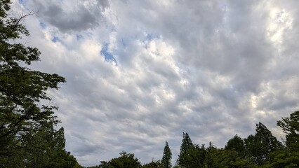 空と雲