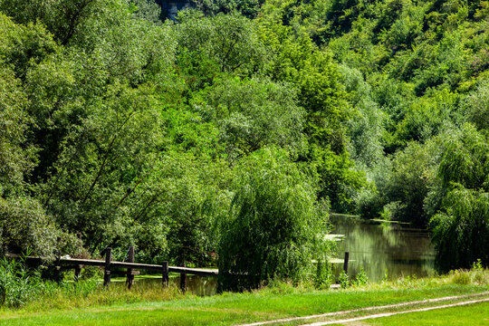 Picturesque view of a rustic wooden bridge stretching over a calm river amidst a dense forest in a serene countryside setting.