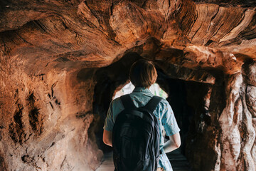 Traveler With Backpack Walking in Hollow Tree Tunnel