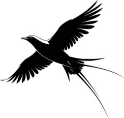 Obraz premium Soaring Silhouette: A minimalist illustration captures the essence of freedom and grace, showcasing a sleek black and white bird in full flight.