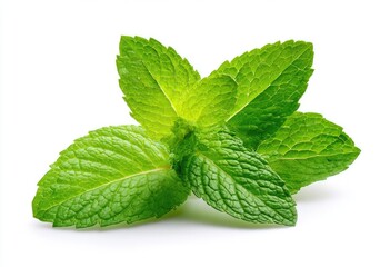 Fresh mint leaves, vibrant green, close-up, isolated on white
