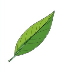 A stylized, outlined, vibrant green leaf