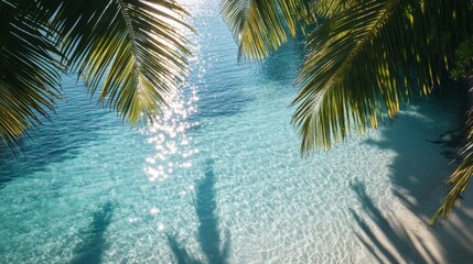 Tropical beach scene with clear turquoise water and palm fronds.
