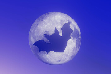 A bat is flying through a moon, halloween concept