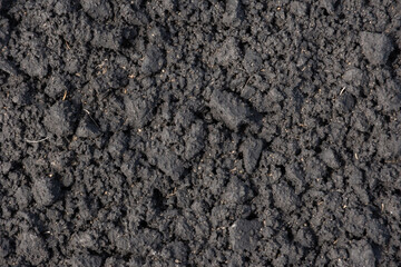 Close-up of rich black soil texture for agriculture and gardening background use. concept of farming, gardening, and organic agriculture