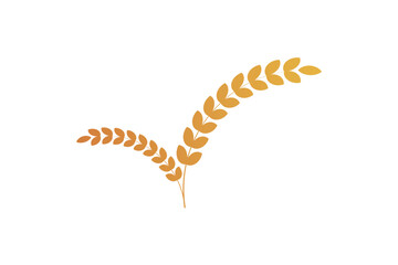 wheat icon, agriculture rice icon, ears of wheat vector illustration.