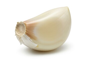 Single peeled garlic clove with papery skin and textured base food