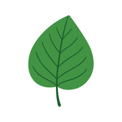Simple green leaf vector illustration.