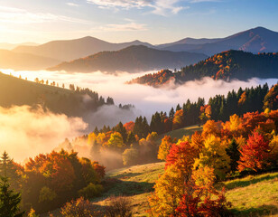 A misty autumn morning in the mountains with colorful foliage and bright sunlight.