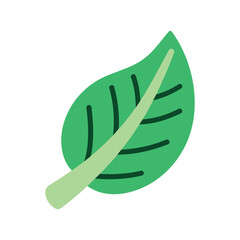 Simple green leaf vector graphic with prominent vein.