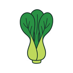 Vector graphic of a fresh bok choy vegetable.