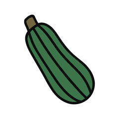 Vector illustration of a green zucchini vegetable.